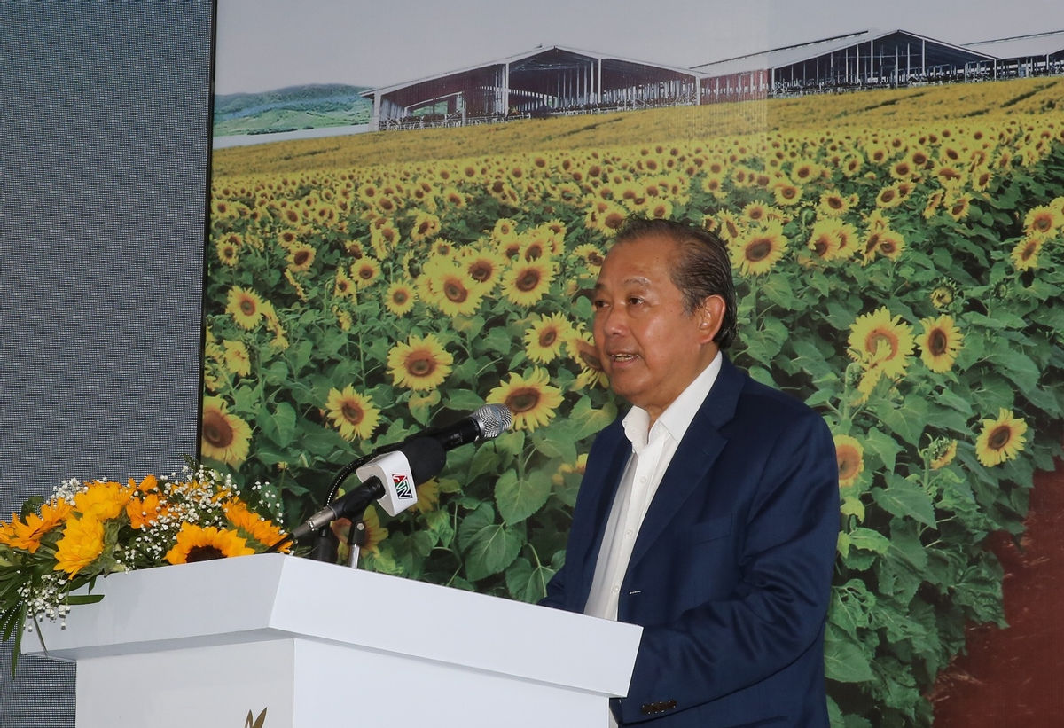 Phó Thủ tướng thường trực Trương Hòa Bình: 'TH đã thành công'